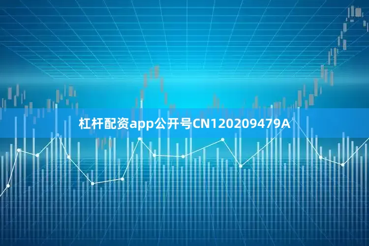 杠杆配资app公开号CN120209479A