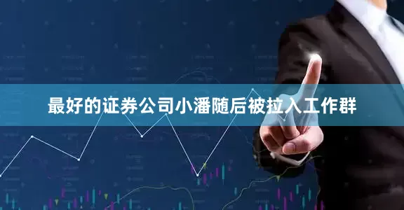 最好的证券公司小潘随后被拉入工作群