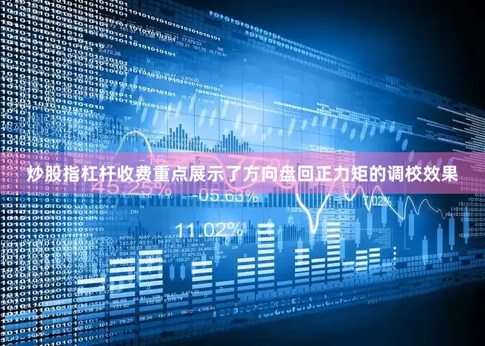 炒股指杠杆收费重点展示了方向盘回正力矩的调校效果