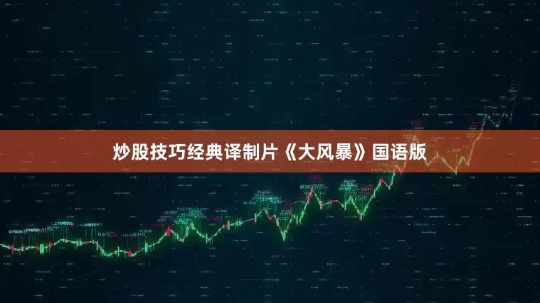 炒股技巧经典译制片《大风暴》国语版