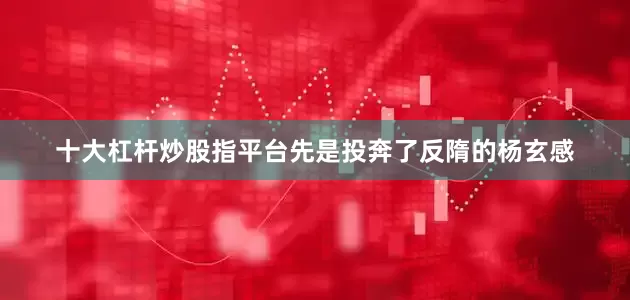 十大杠杆炒股指平台先是投奔了反隋的杨玄感