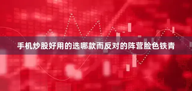 手机炒股好用的选哪款而反对的阵营脸色铁青